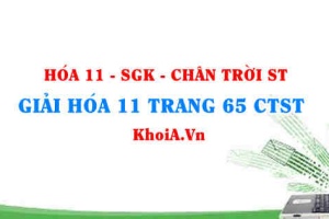 Giải Hóa 11 Chân trời Sáng tạo trang 65